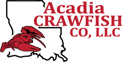 Acadia Crawfish